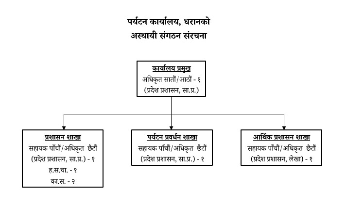 संगठन संरचना